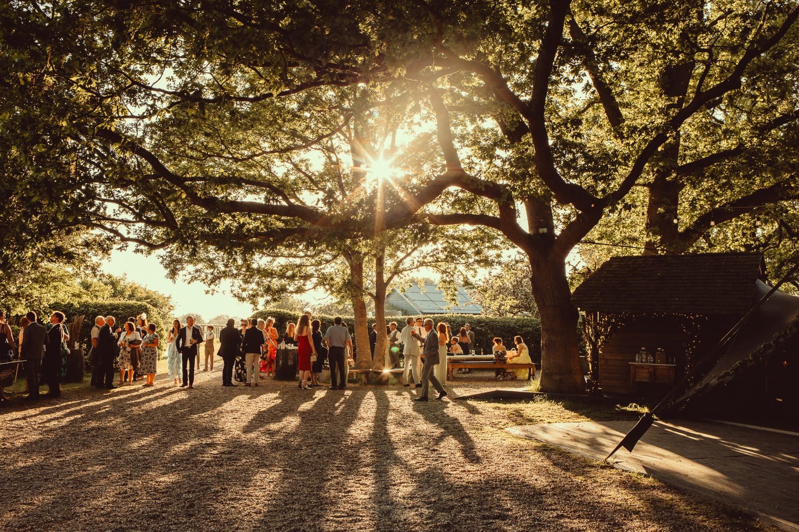The Oak Grove photo 5