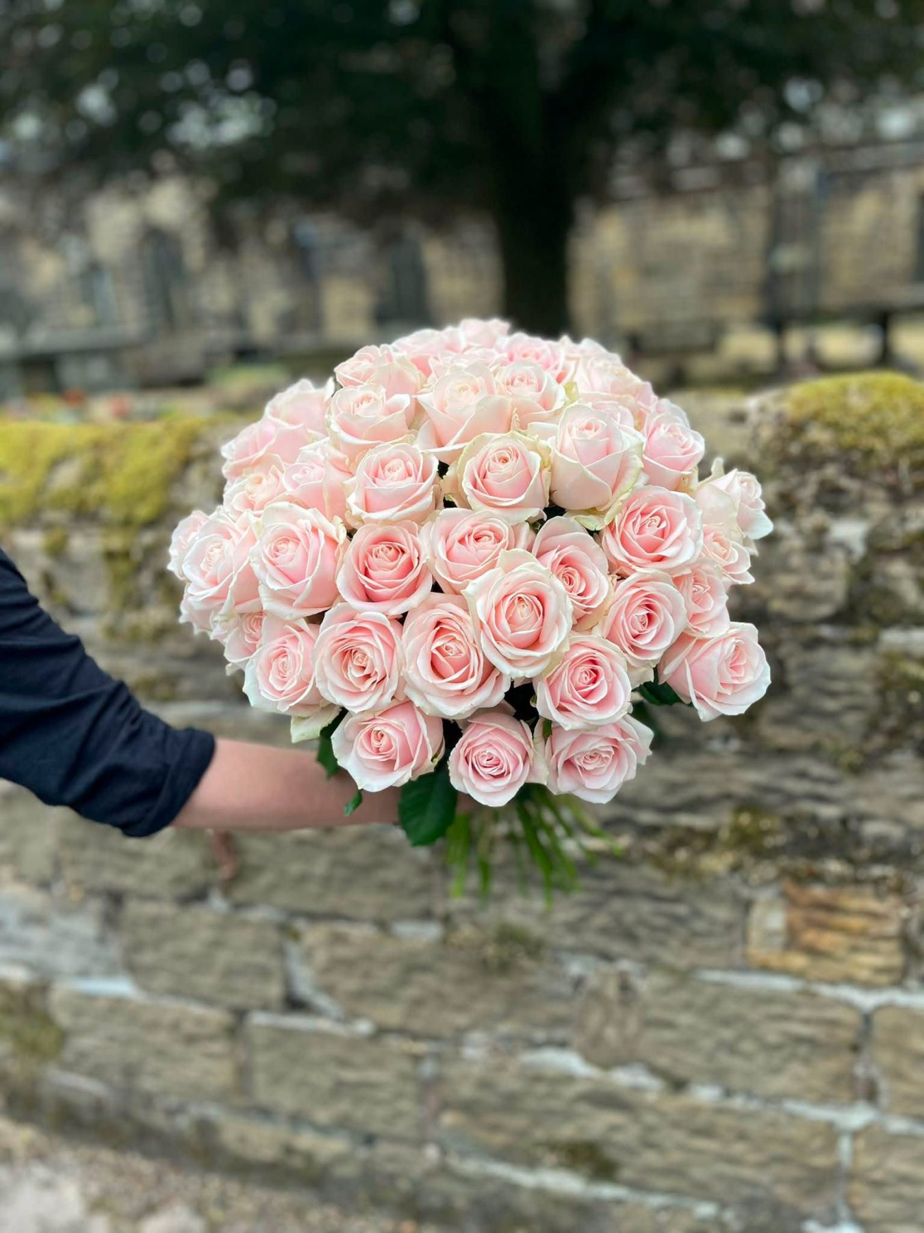 Hacketts Florist & Gifts
