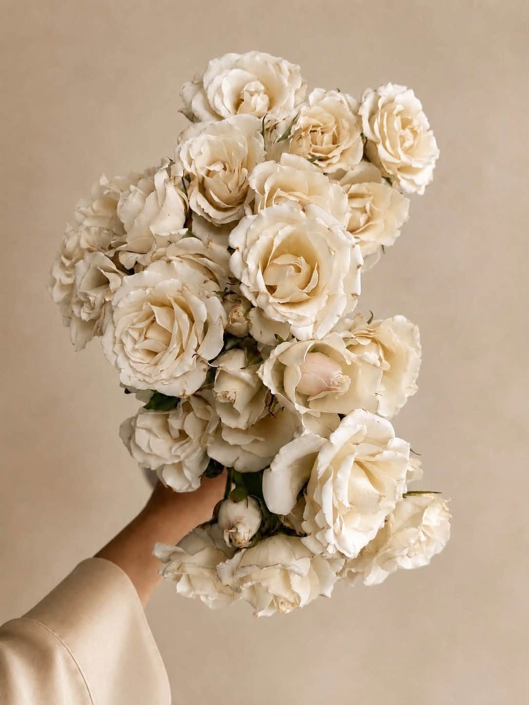 The Blonde & The Blooms