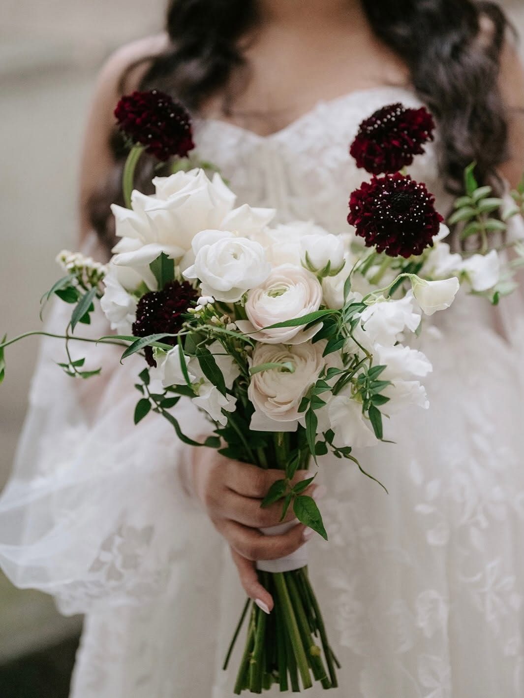 Sweet Pea Flowers photo 4