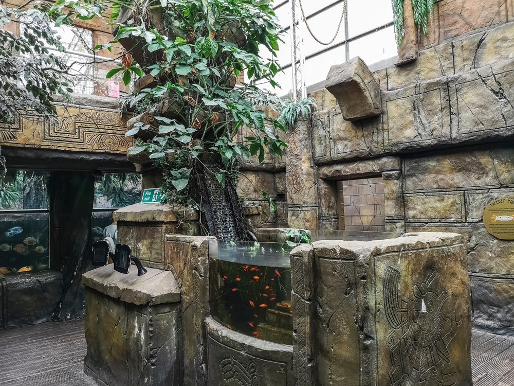 Tropical World