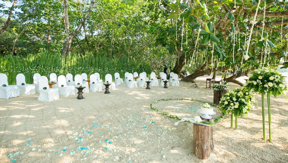 The Sarojin photo 4
