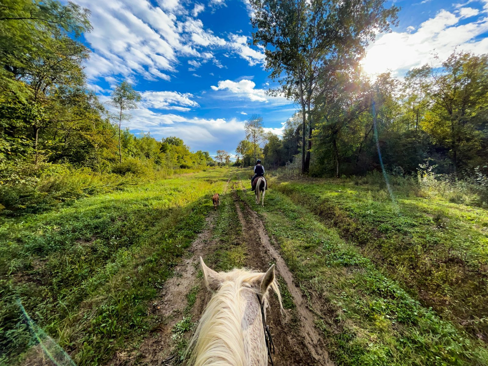 Horse riding for stag & hen weekends in the UK