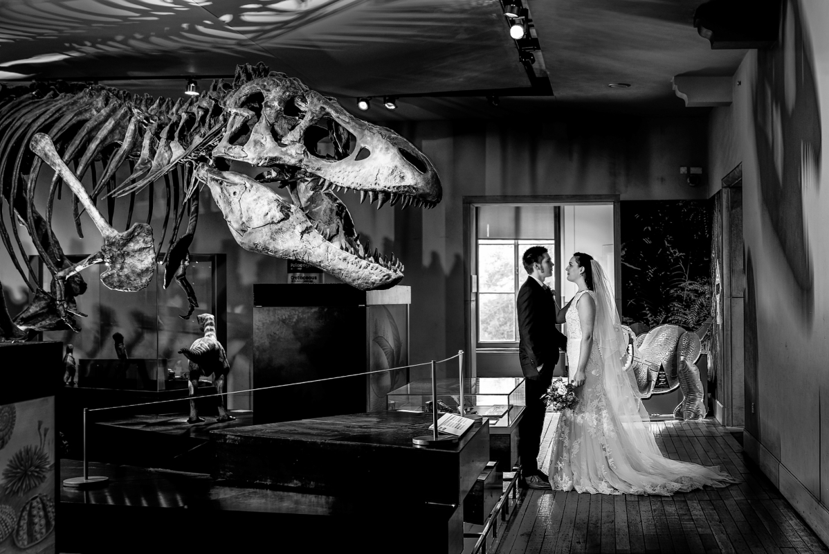 Great North Museum: Hancock