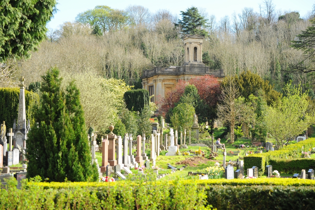 Looking across Arnos Vale