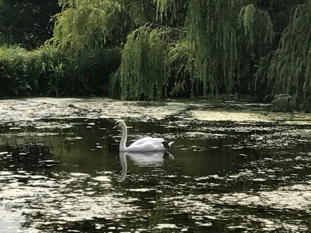 Priory Hall Wedding Venue