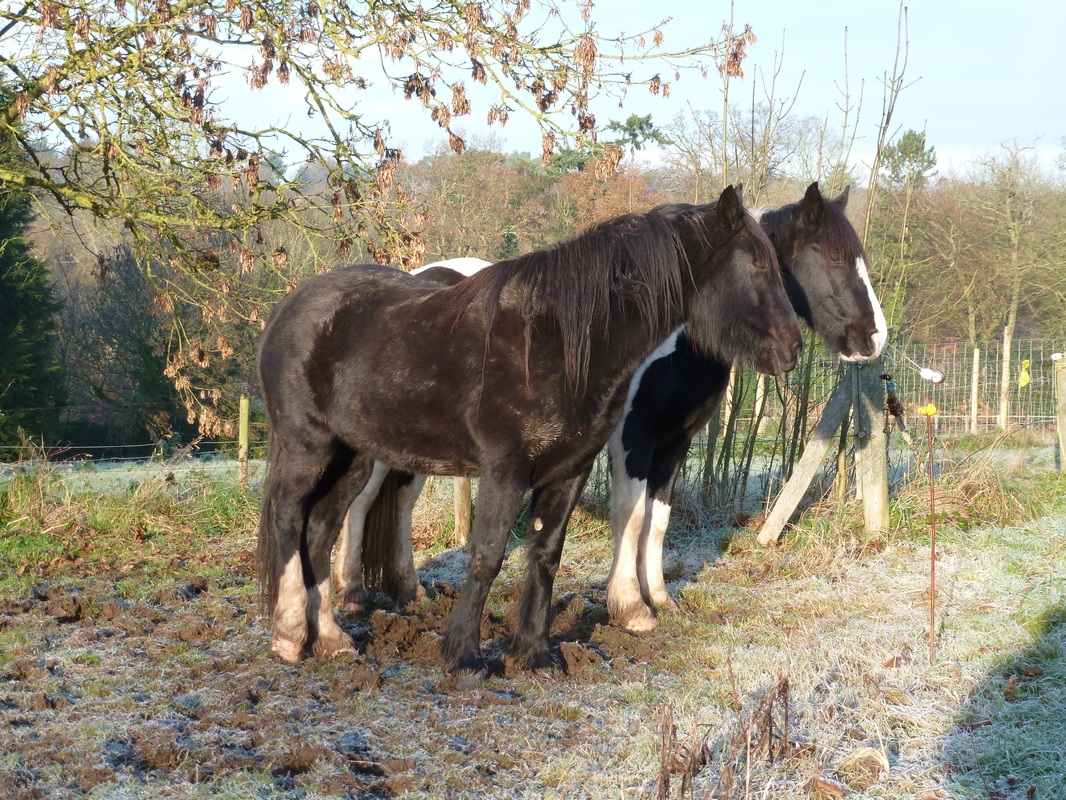 Cold Ash Retreat And Conference Centre