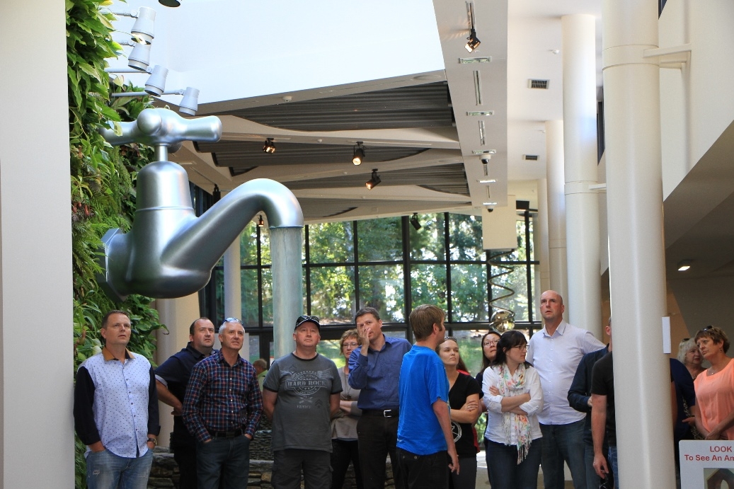 Team building - guided tour