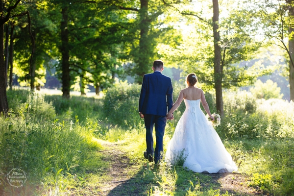 Photographs in the meadow