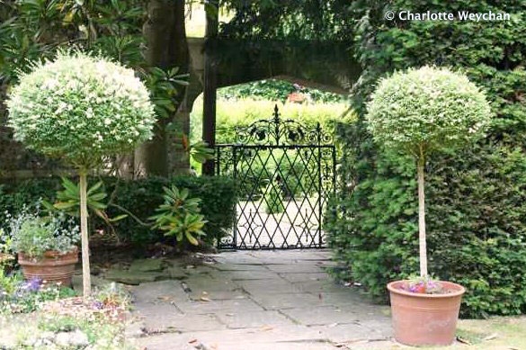 St Mary's House & Gardens