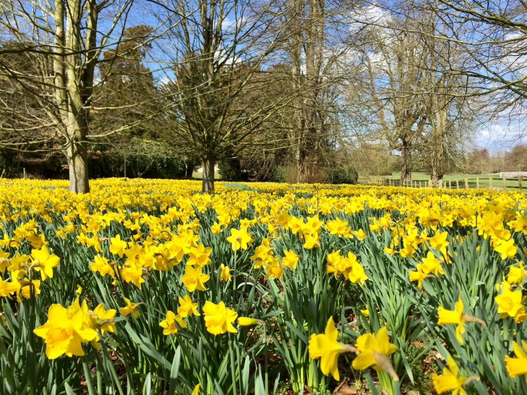 Hartwell House Hotel And Spa