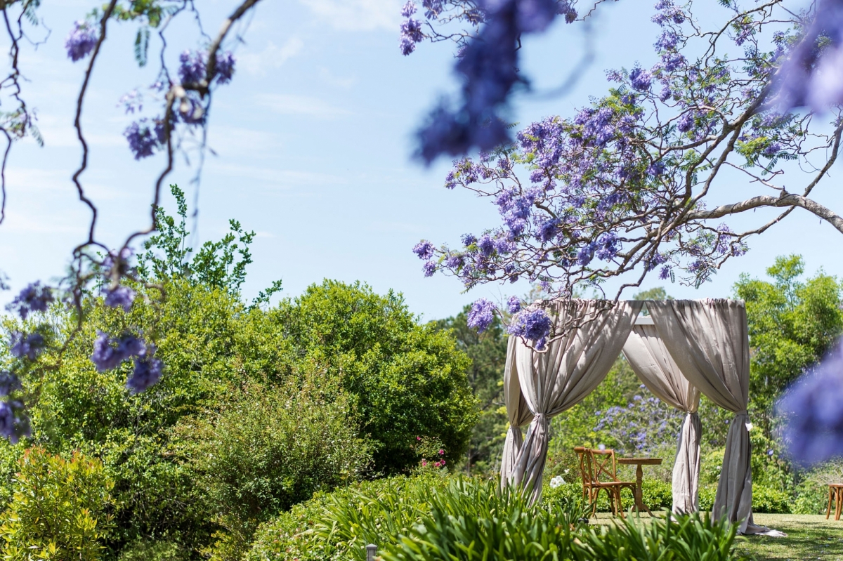 Spicers Clovelly Estate