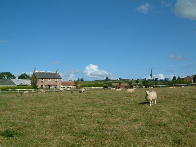 Thornton Lodge Country Sports