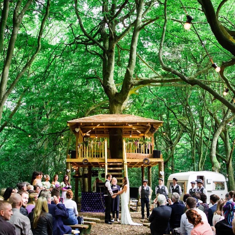 Lila's Wood - Woodland Weddings Ltd