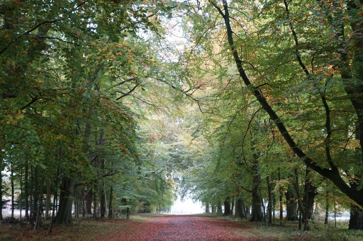 Lords Of The Manor Hotel