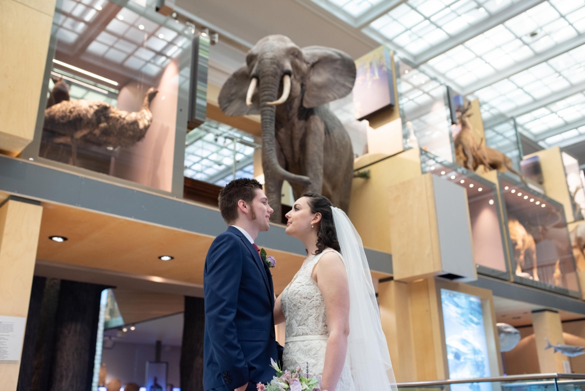 Great North Museum: Hancock wedding photograph by Laurence Sweeney Photography