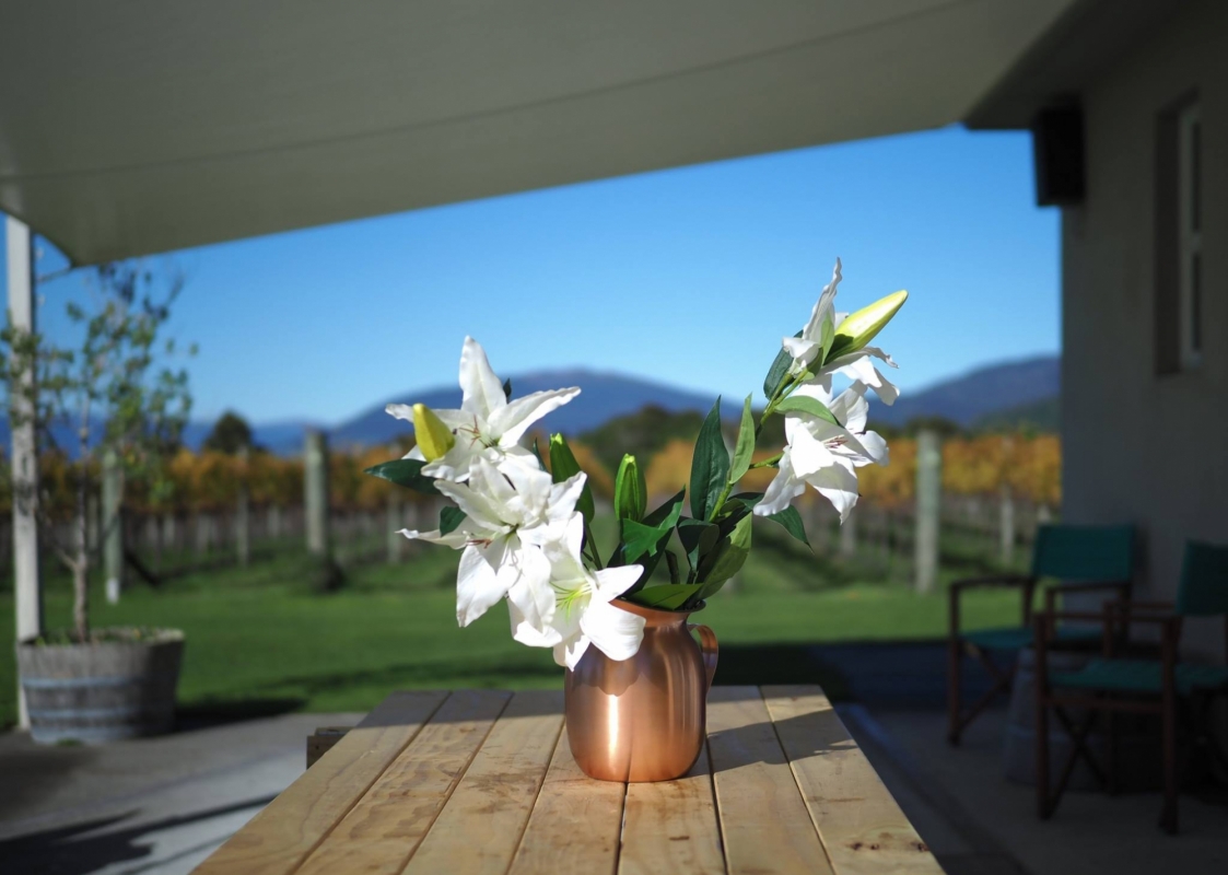 Streamblock Vineyard