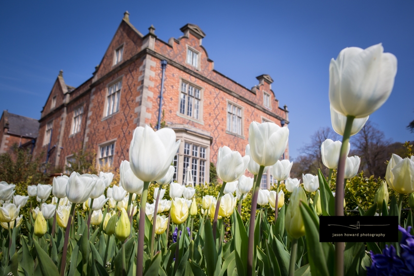 Willington Hall Hotel