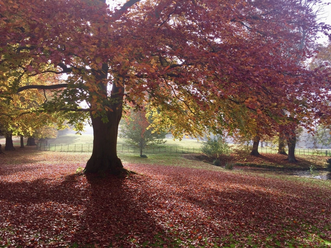 Hartwell House Hotel And Spa