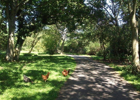 The Artisan Bakehouse 