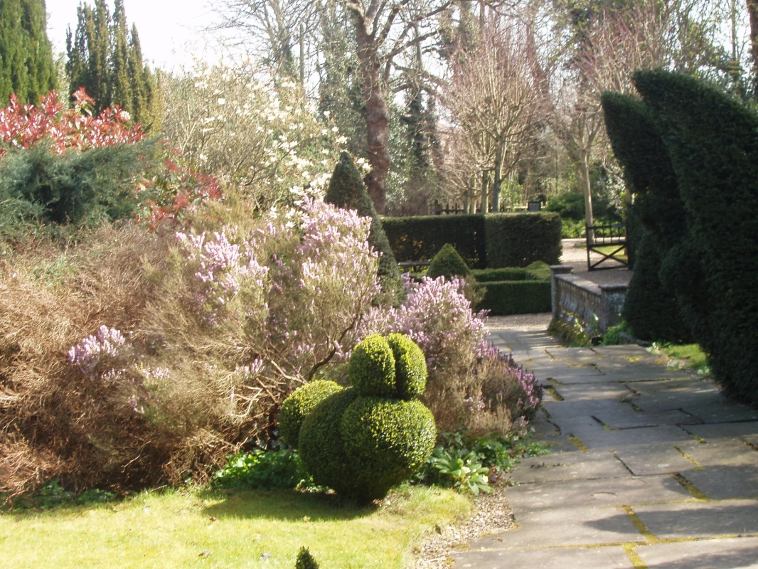 Topiary at St Mary's House and Gardens