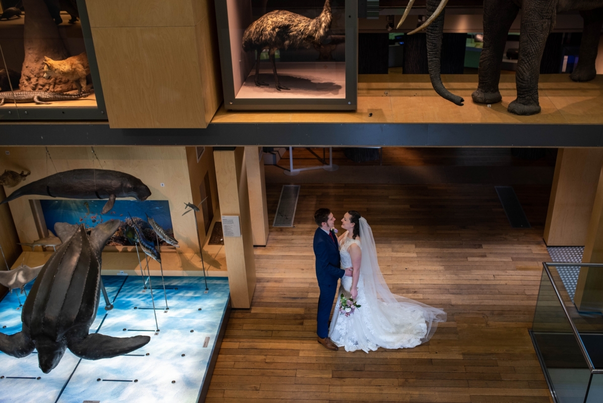 Great North Museum: Hancock wedding photograph by Laurence Sweeney Photography
