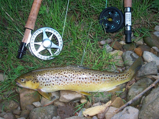 Thornton Lodge Country Sports