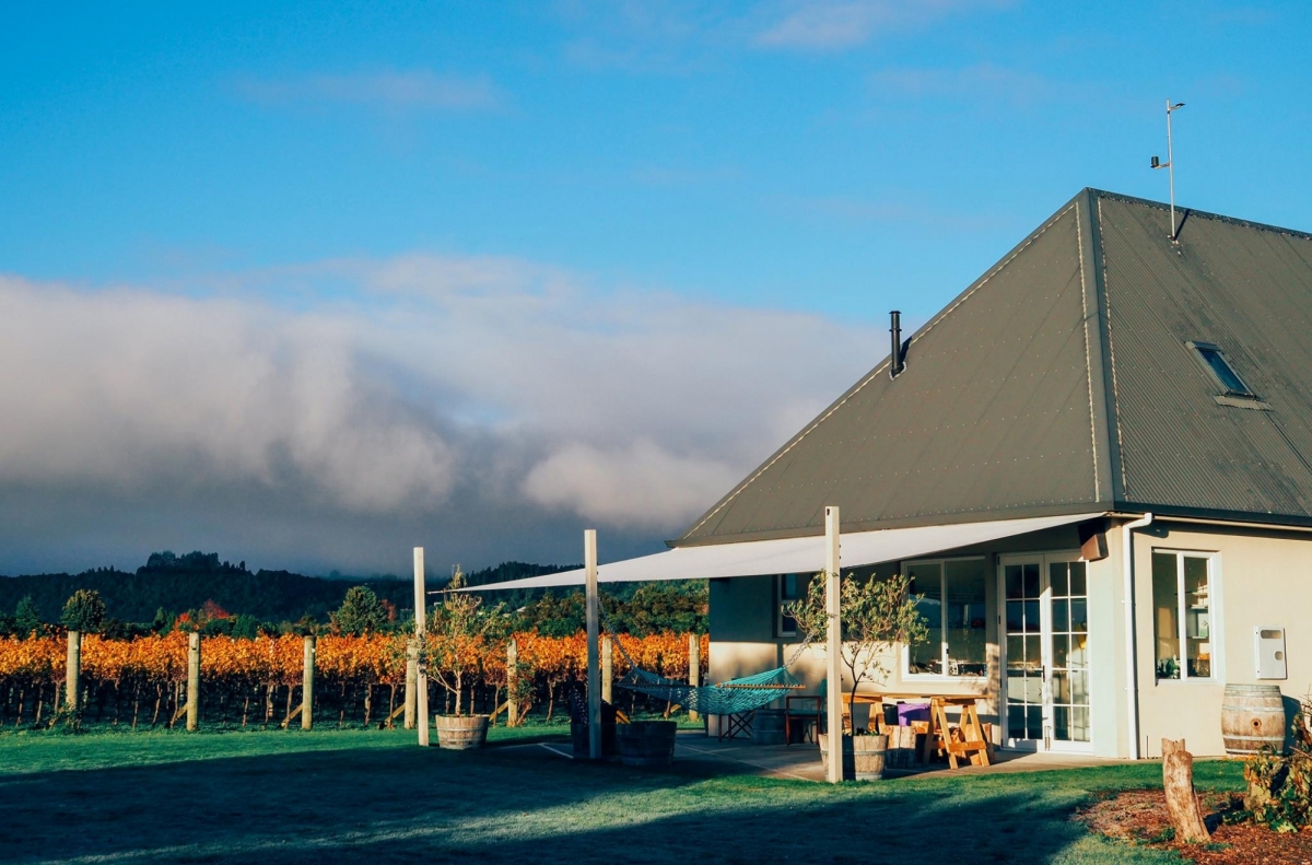 Streamblock Vineyard