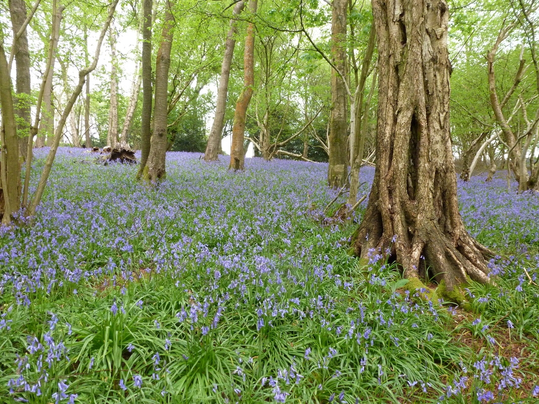 Cold Ash Retreat And Conference Centre