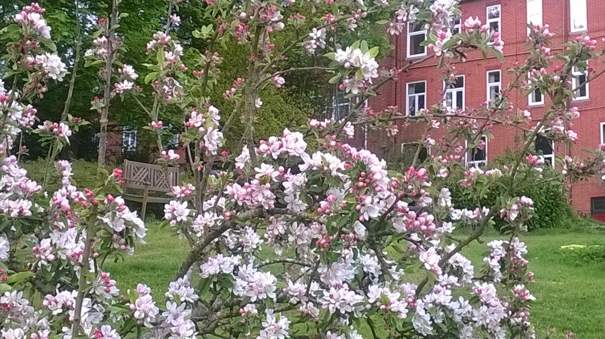 Cold Ash Retreat And Conference Centre