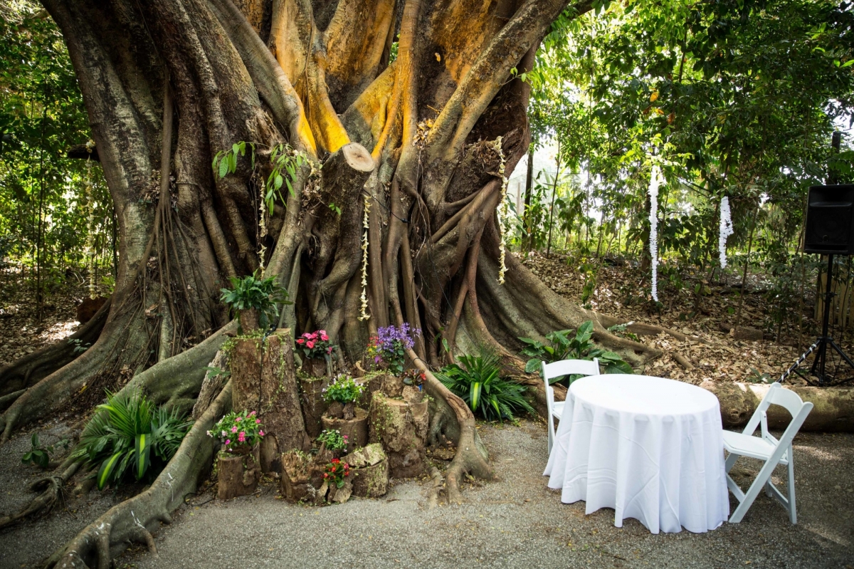 The Rainforest Grotto