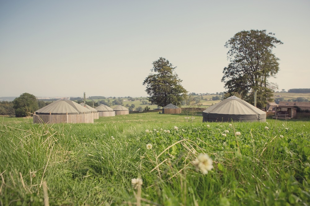 Yurt Field