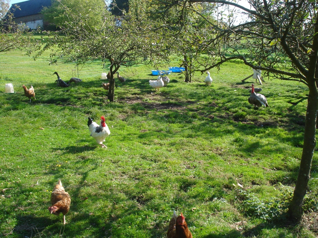 Cold Ash Retreat And Conference Centre