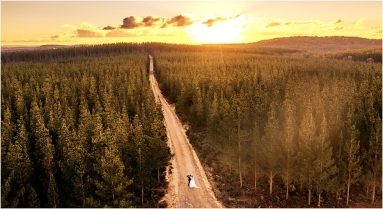 Sylvan Glen Country Estate