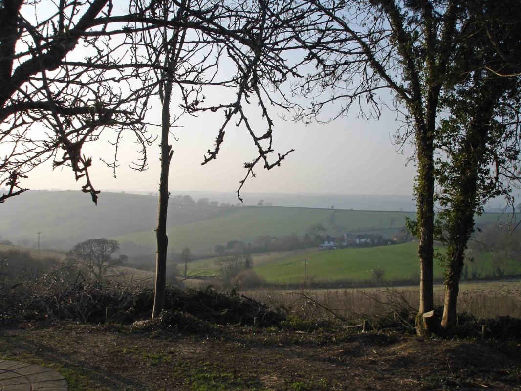 Wringworthy Cottages