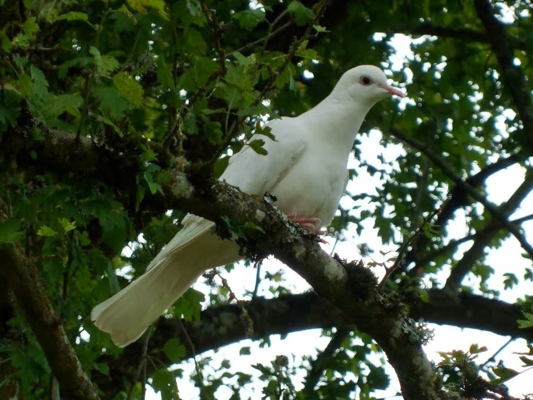 Cold Ash Retreat And Conference Centre