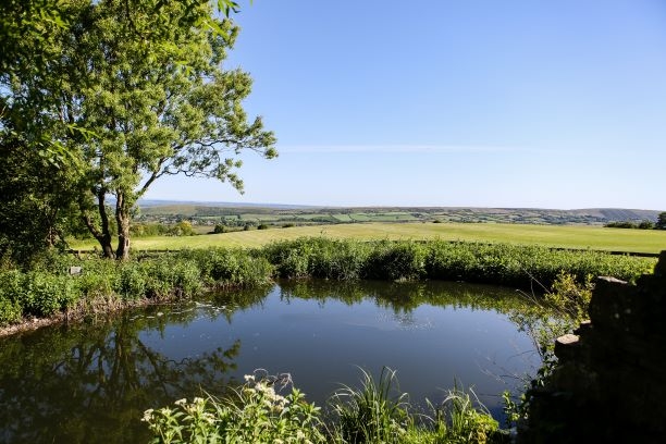 Kingston Country Courtyard