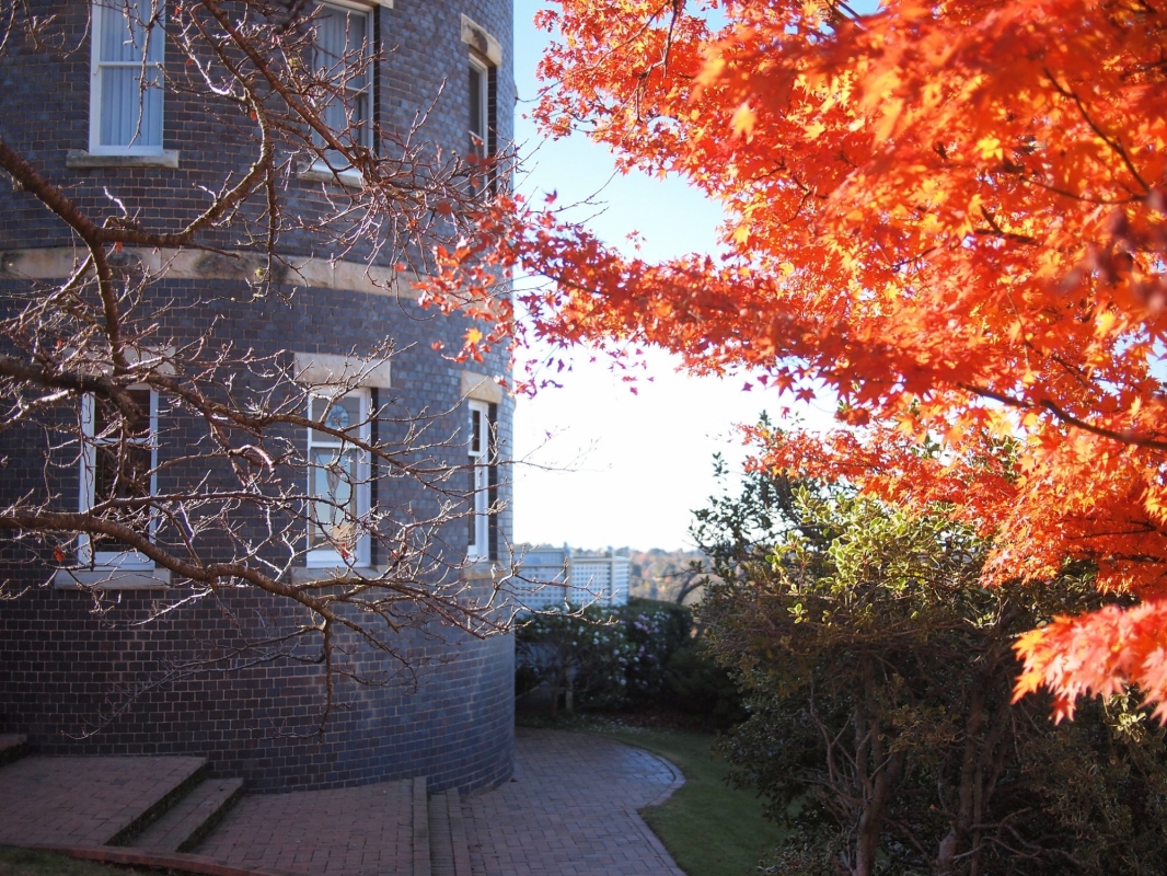 Hotel Mountain Heritage - Blue Mountains