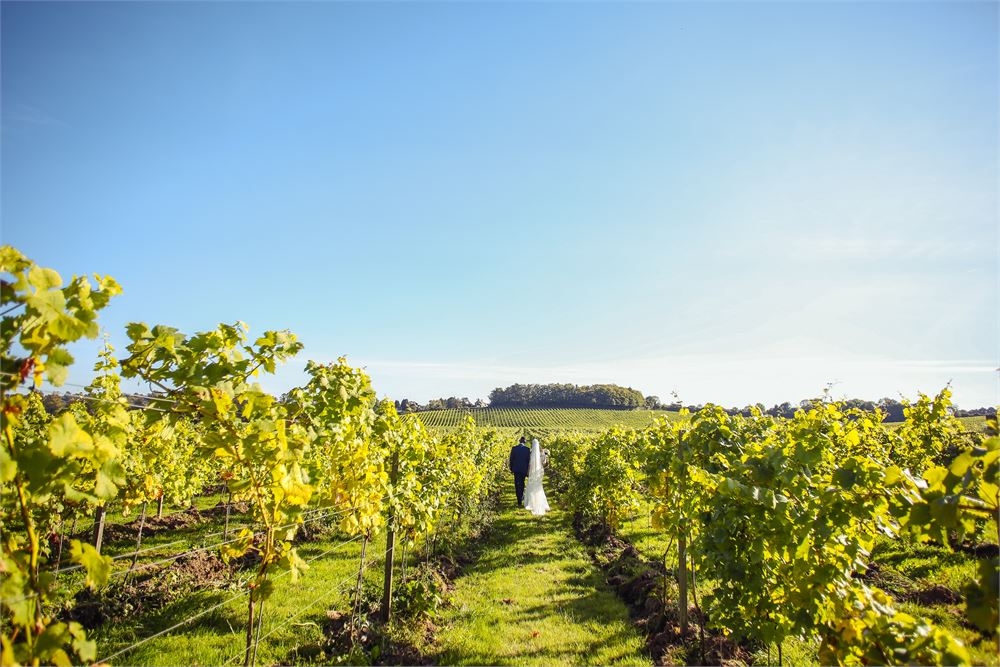 Denbies Wine Estate Limited