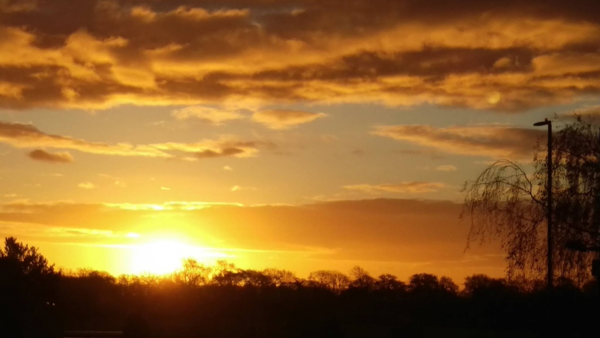 Alveston House Hotel