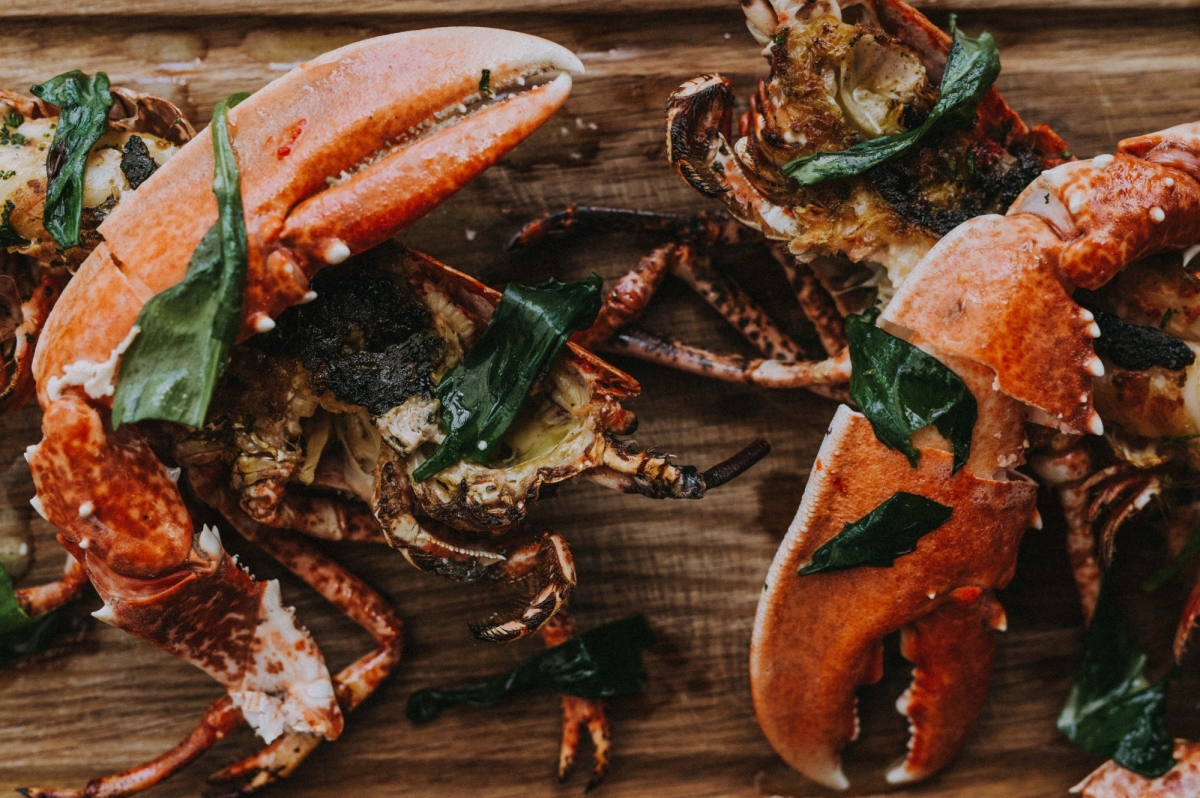 HIX Oyster & Fish House