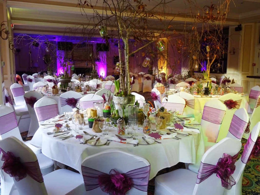 The Downe Arms Hotel Wykeham