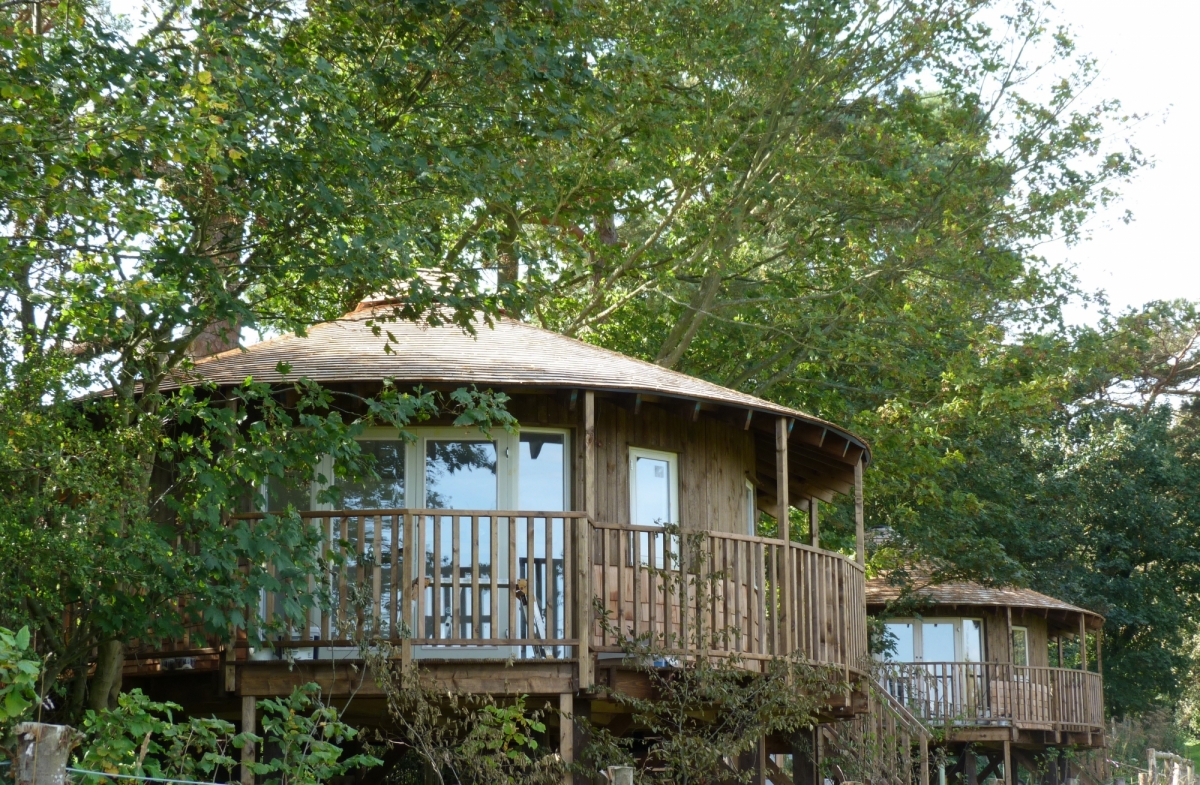 Eco-Lodge Tree Houses