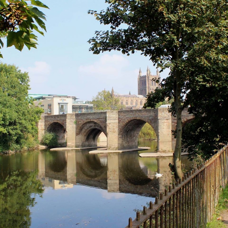 The Left Bank Village