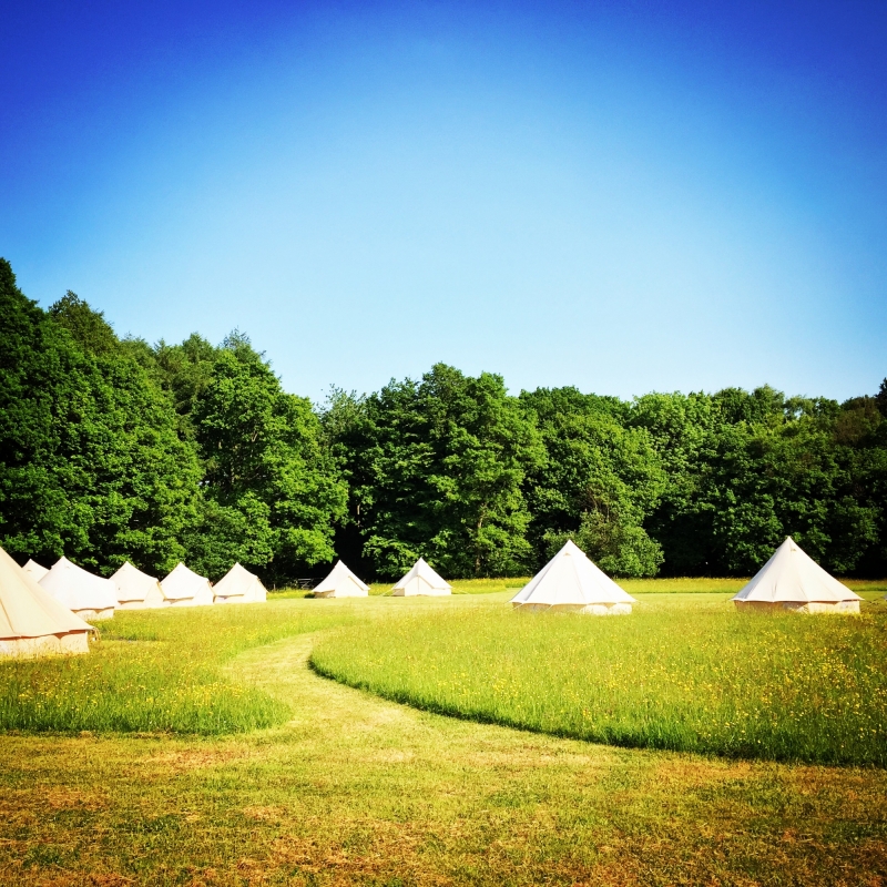 Lila's Wood - Woodland Weddings Ltd