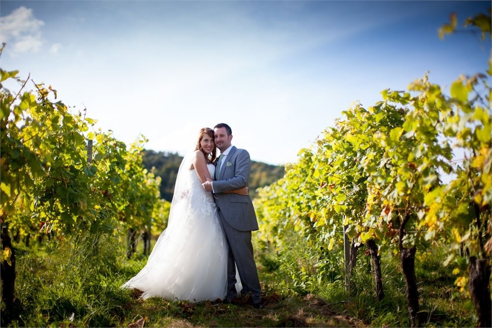 Denbies Wine Estate Limited