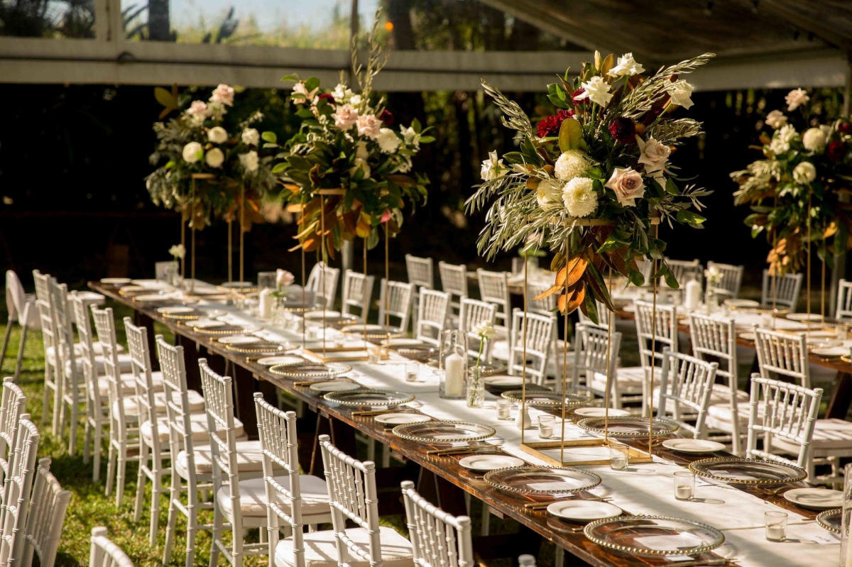 The Rainforest Grotto