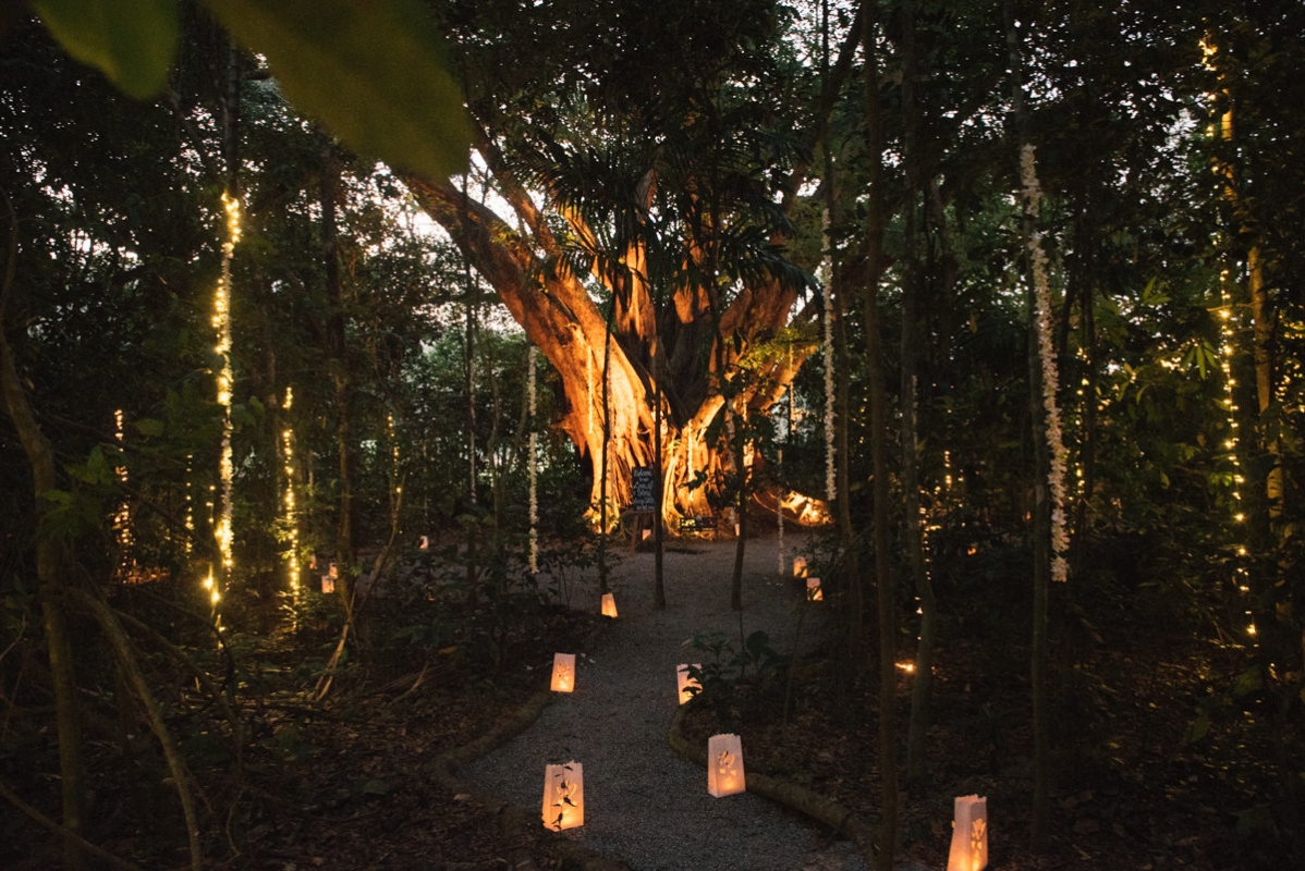 The Rainforest Grotto