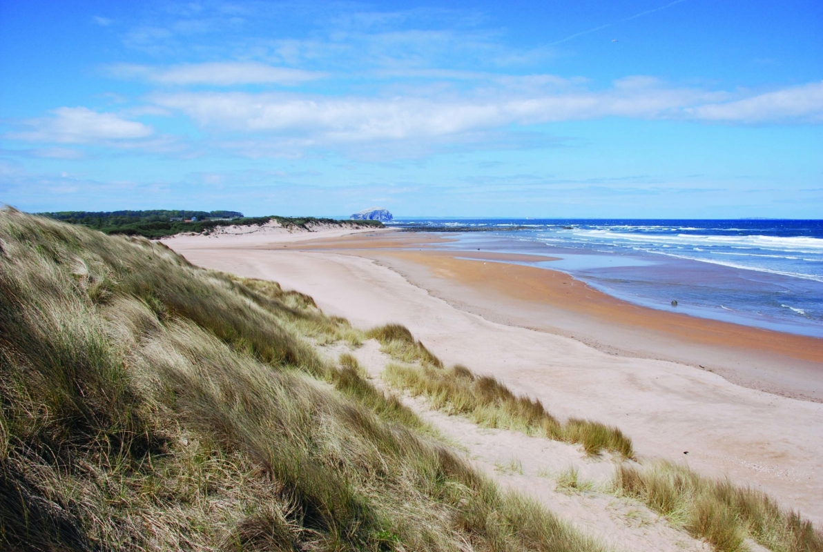 Harvest Moon Holidays 