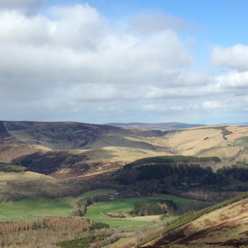 The Mill @ Lewinshope